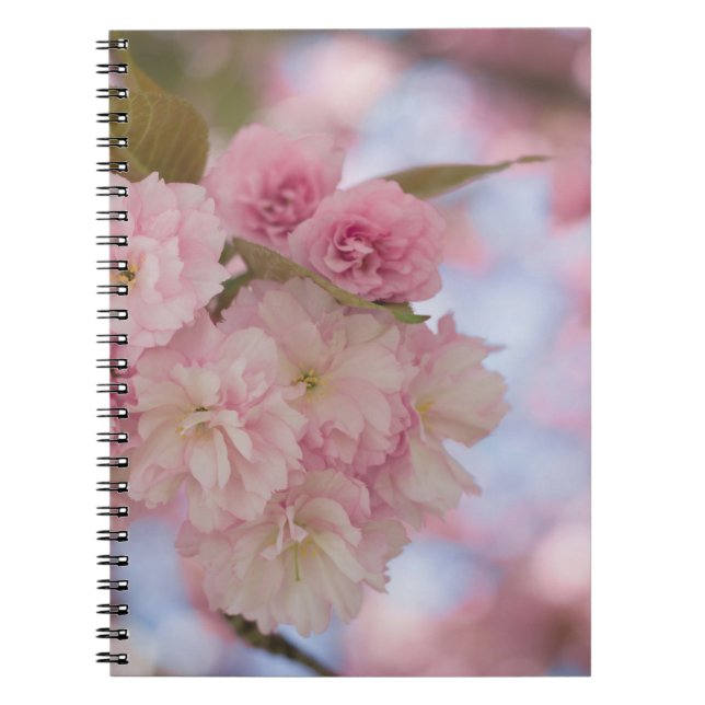 PINK CHERRY BLOSSOM IN NAH-OBEN-FOTOGRAFIE NOTIZBLOCK (Vorderseite)