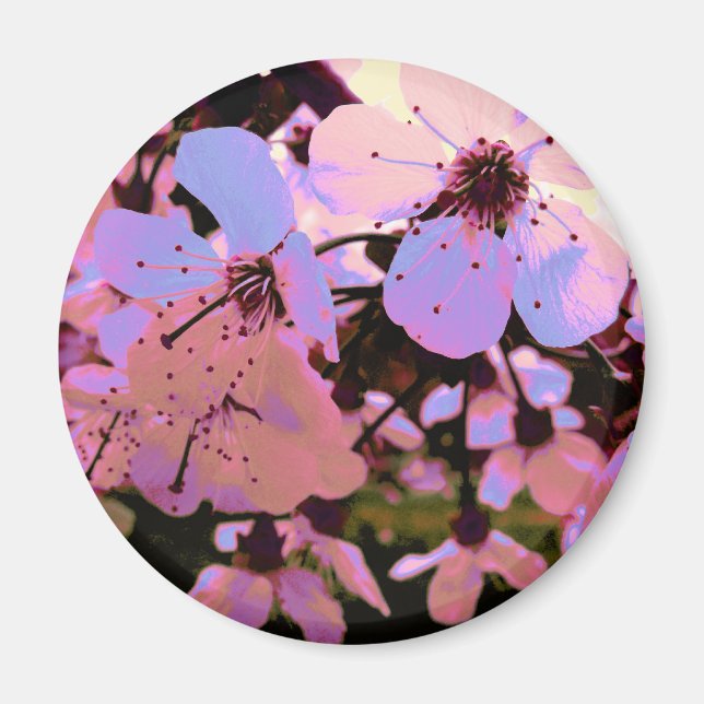 Pink Cherry Blossom Magnet (Vorne)
