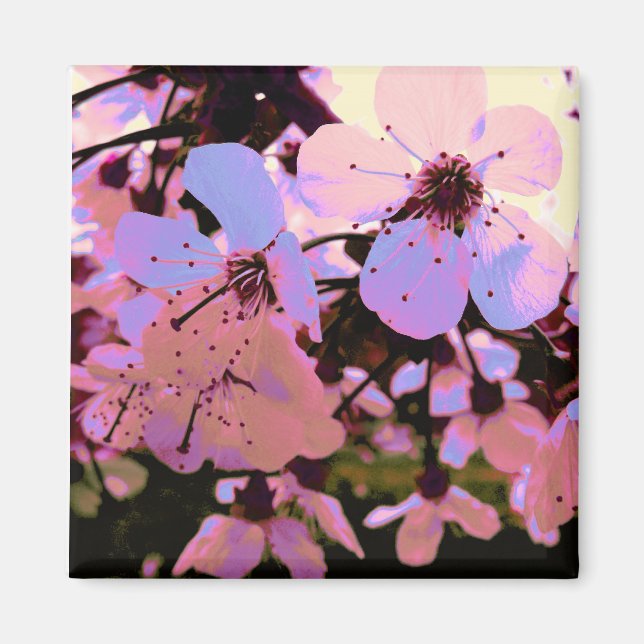 Pink Cherry Blossom Magnet (Vorne)