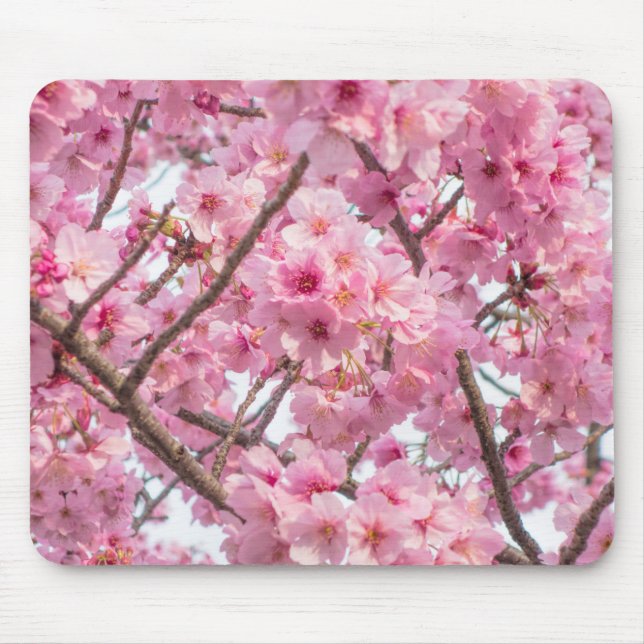 Pink Cherry Blossom Mousepad (Vorne)