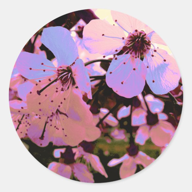 Pink Cherry Blossom Runder Aufkleber (Vorderseite)