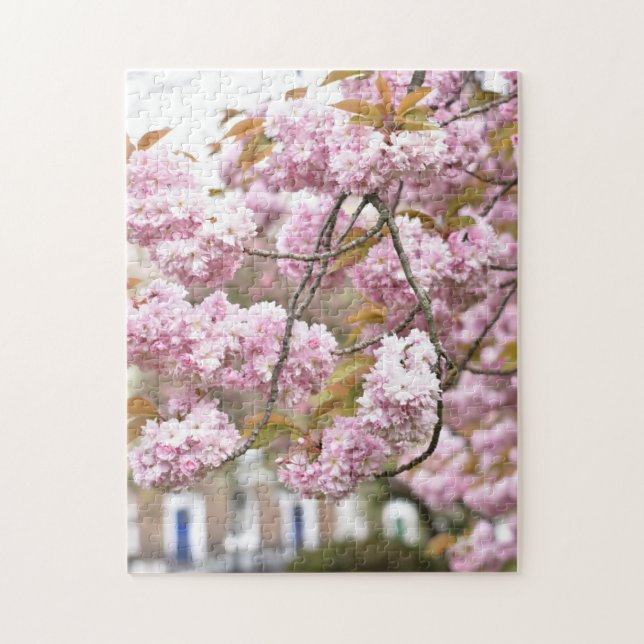 Pink Cherry Blossoms Tree Islington London UK (Vertikal)