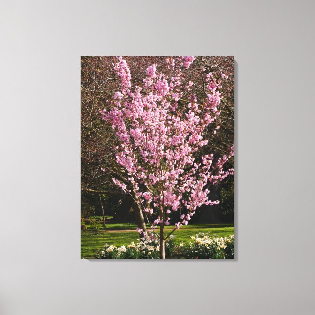 Pink Cherry Tree Canvas Print Leinwanddruck (Vorderseite)