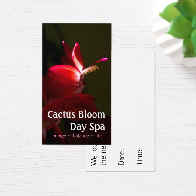 Pink Christmas Kakti Bloom Fotografie (Schreibtisch)