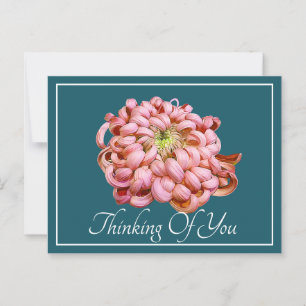 Pink Chrysanthemum Cyan Hintergrund Denken Sie an  Postkarte
