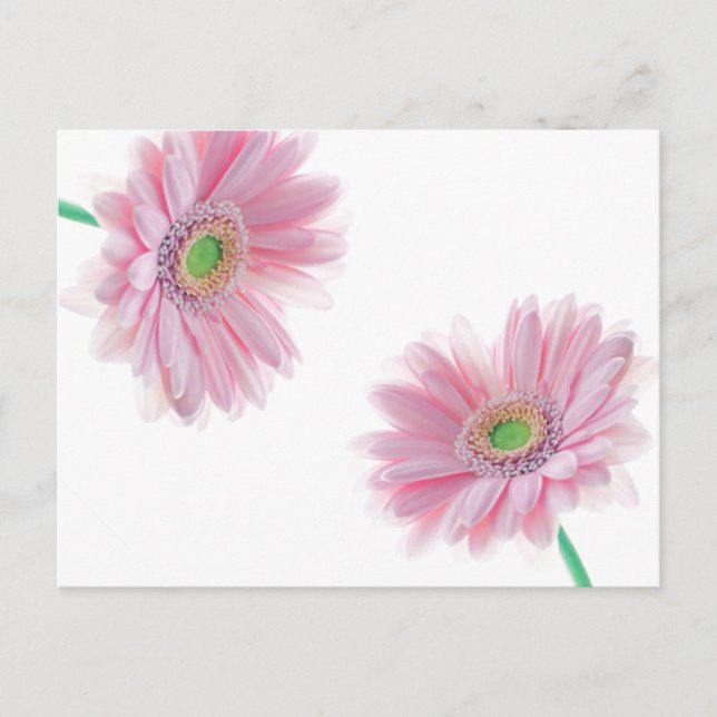 Pink CHRYSANTHEMUM Postkarte (Vorderseite)