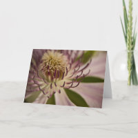 Pink Clematis ・ Grußkarte