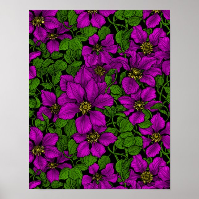 Pink Clematis Poster (Vorne)