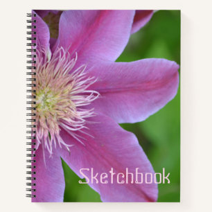 Pink Clematis Sketch Notizbuch