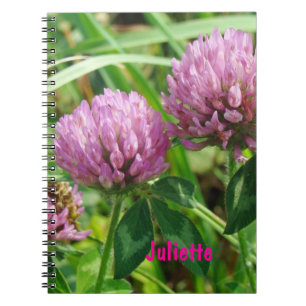 Pink Clover Wildblume - Trifolium pratense Notizblock