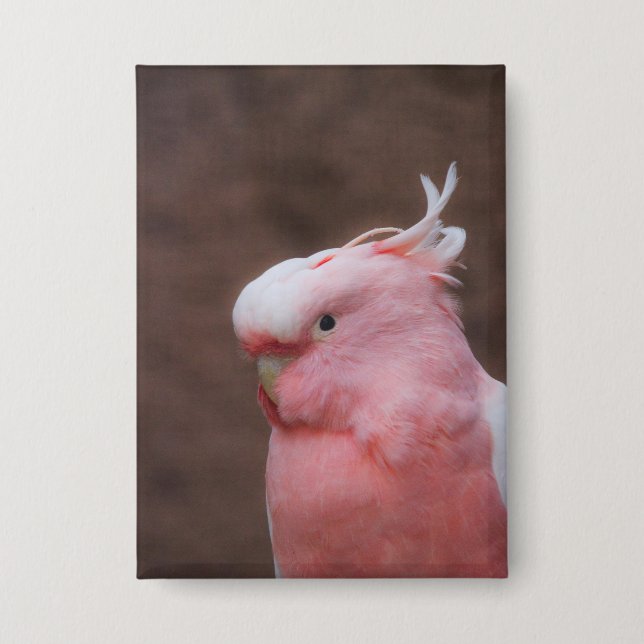 Pink Cockatoo Button (Vorderseite)