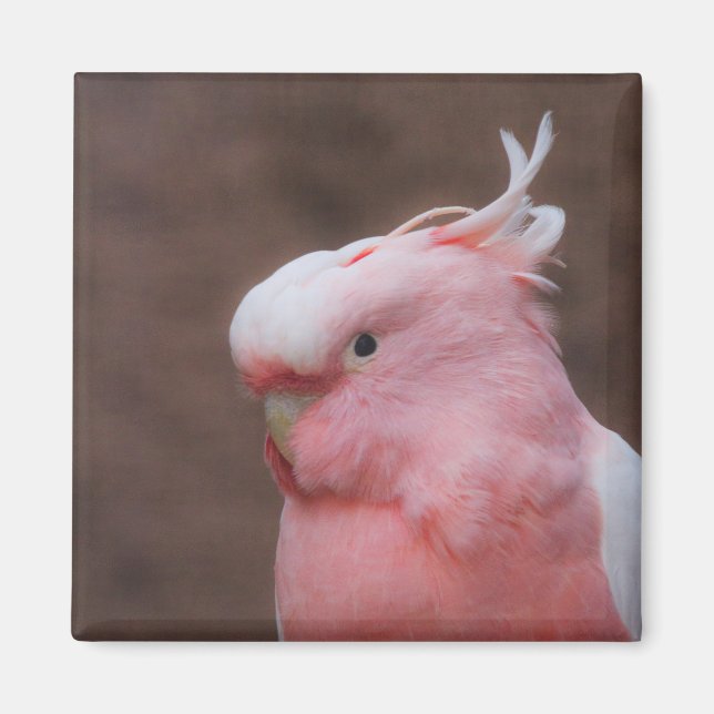 Pink Cockatoo Magnet (Vorne)