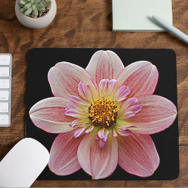 Pink Collarette Dahlia auf der schwarzen Flora Mousepad