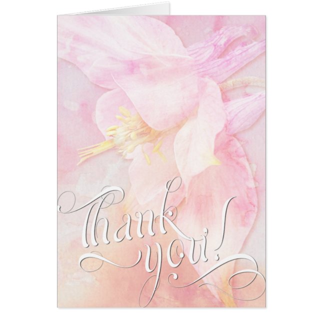 PINK COLUMBINE BLUME WATERCOLOR SPLASH (Vorne)