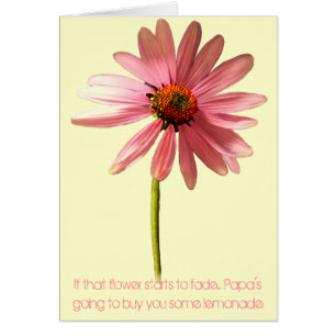 Pink Cone Blume Wenn diese Blume zu verblassen beg