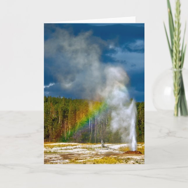 Pink Cone Geyser Yellowstone Park Danke Karte (Vorderseite)