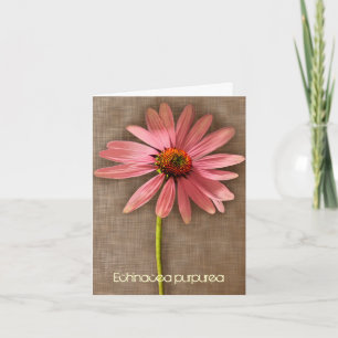 Pink Coneflower Echinacea purpurea Vielen Dank Dankeskarte