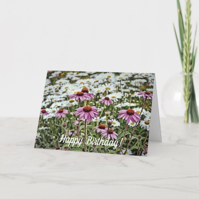 Pink Coneflowers und Daisis Happy Birthday Card Karte (Vorderseite)