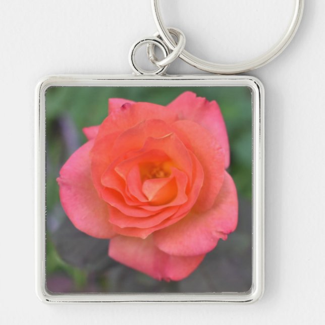 Pink Coral Rose Natur Fotografie Blume Pflanze Schlüsselanhänger (Vorne)