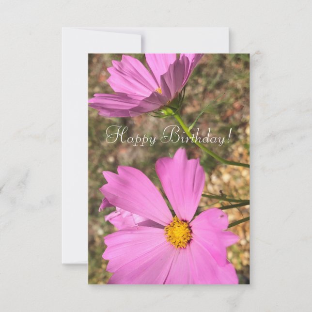 Pink Cosmo Blume Sommergartenfotografie Karte (Vorderseite)