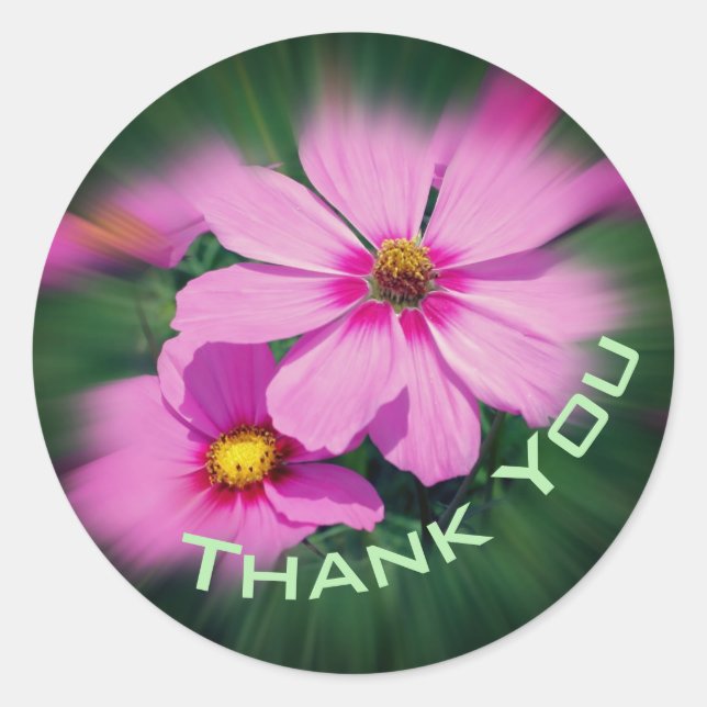 Pink Cosmos Blume Vielen Dank Runder Aufkleber (Vorderseite)