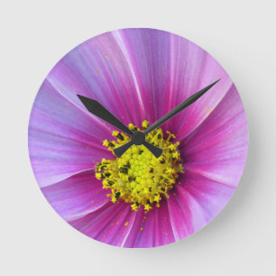 Pink Cosmos Runde Wanduhr