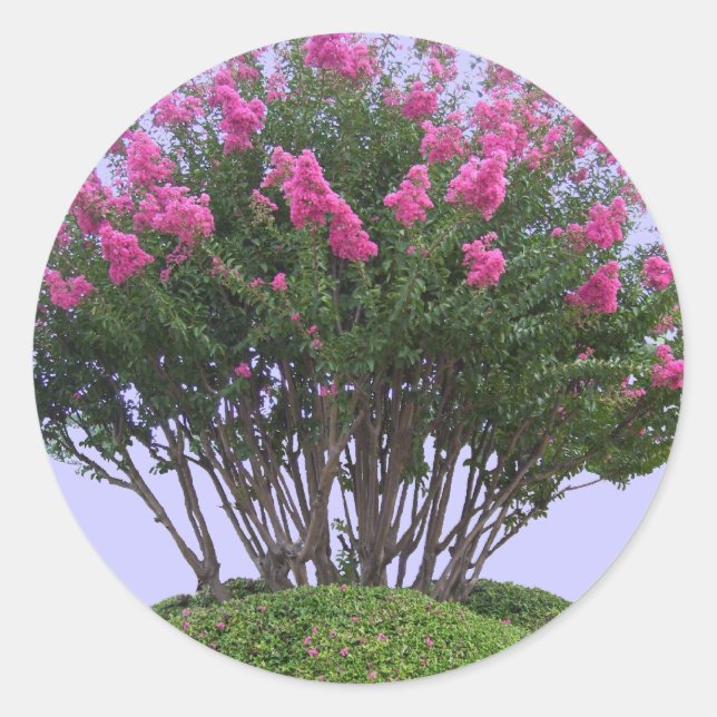 Pink Crape Myrtle Mound Stickers (Vorderseite)
