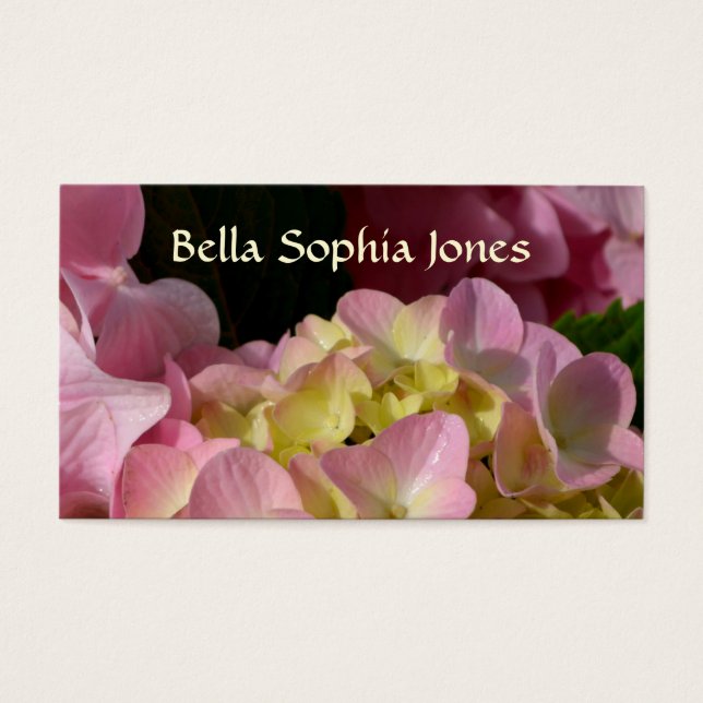 Pink Cream Hydrangeas gelb rosa grüne Blüte (Vorderseite)