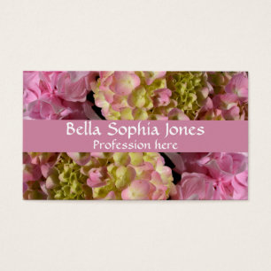 Pink Cream Hydrangeas gelb rosa grüne Blüte