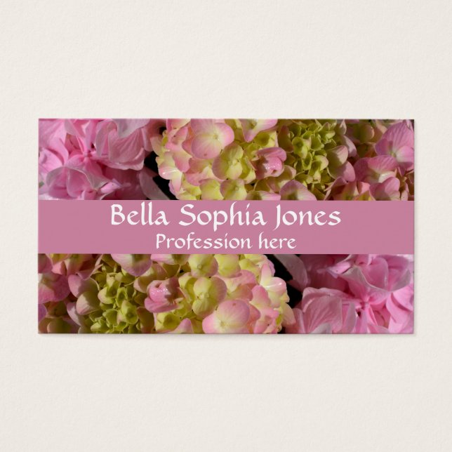 Pink Cream Hydrangeas gelb rosa grüne Blüte (Vorderseite)