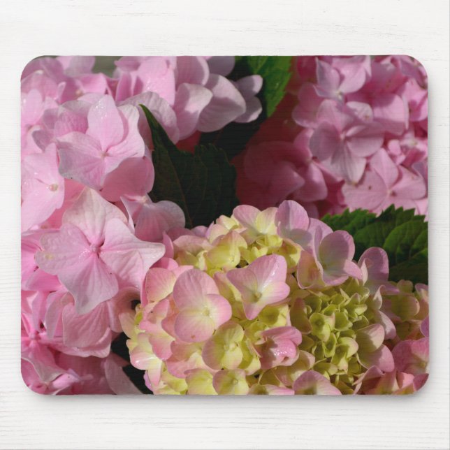 Pink Cream Hydrangeas gelb rosa grüne Blüte Mousepad (Vorne)