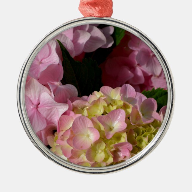 Pink Cream Hydrangeas gelb rosa grüne Blüte Silbernes Ornament (Vorne)