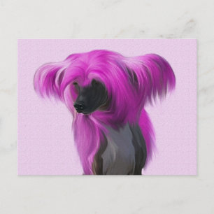 Pink Crestie Postkarte