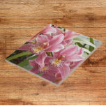 Pink Cymbidium Orchids Floral Fliese<br><div class="desc">Die hübsche Keramik,  die das Foto eines zauberhaften Sprays aus rosa Mini-Cymbidium-Orchideen,  auch bekannt als Boat Orchids,  in die Zuhause einbauen lässt. Ein schönes,  blumengeschmücktes Design! Wählen Sie Ihre Kachelgröße aus. Eine tolle Küche trivet!</div>