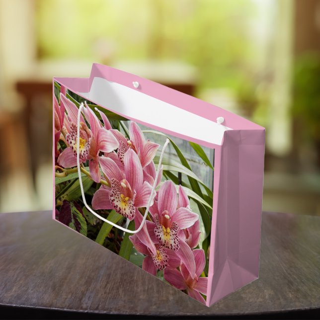 Pink Cymbidium Orchids Floral Große Geschenktüte (In Situ)