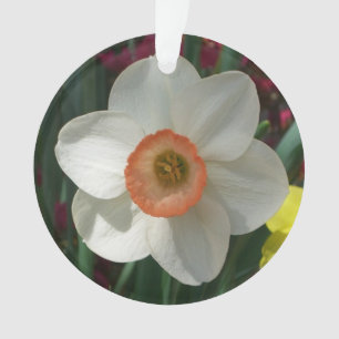 Pink Daffodin Frühlingszeit Blume Ornament