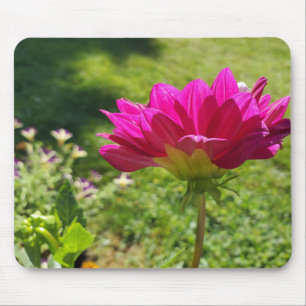 Pink Dahila Mousepad