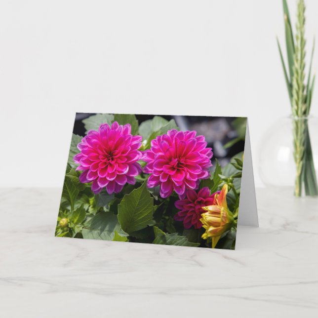 Pink Dahlia Blank Note Card Karte (Vorderseite)