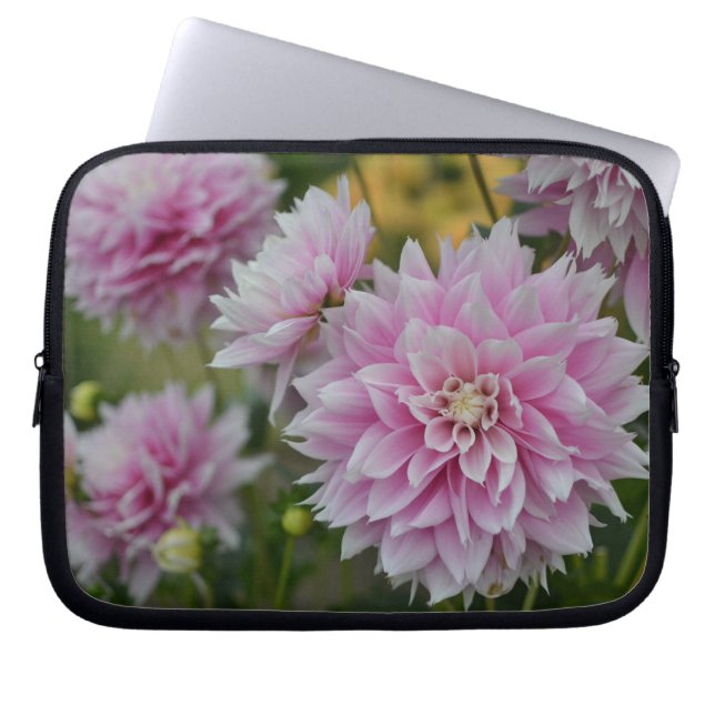 Pink Dahlia Blume im RHS Garden Wisley Laptopschutzhülle (Vorderseite)