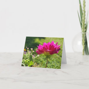 Pink Dahlia Dankeskarte