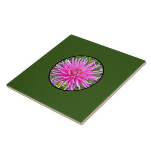 Pink Dahlia Fliese