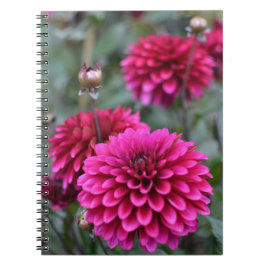 Pink Dahlia Floral Fotobuch Notizblock