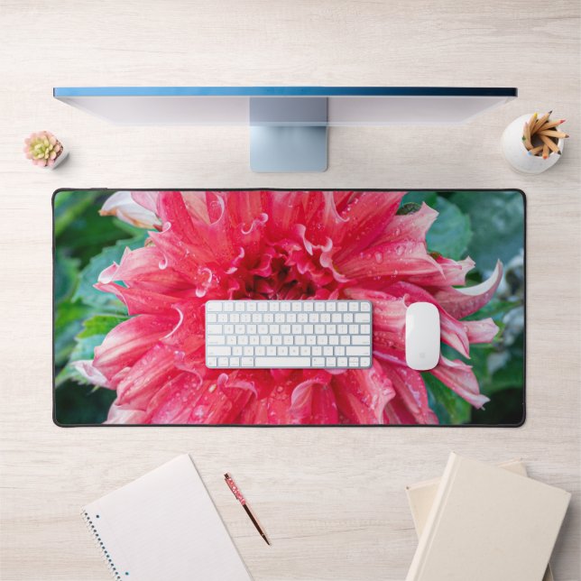 Pink Dahlia Fotografie, kanadische Blume Schreibtischunterlage (Büro 1)