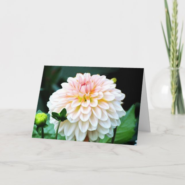 Pink Dahlia Grußkarte Karte (Vorderseite)