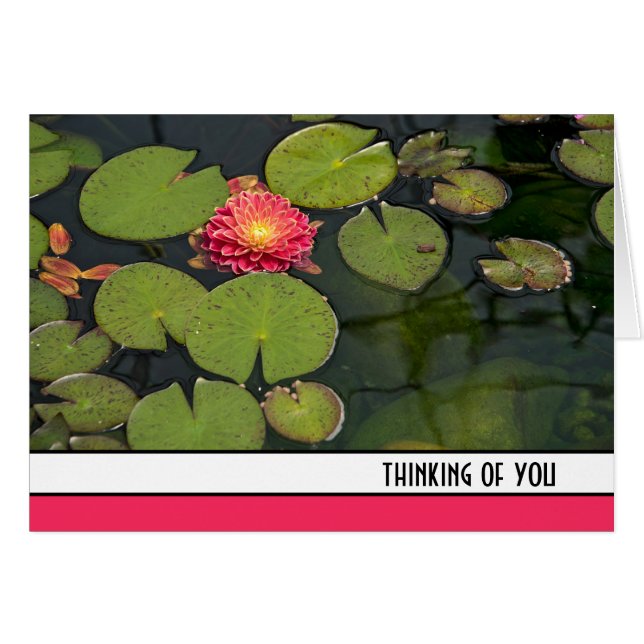 Pink Dahlia in Lily Pads (Vorderseite (Horizontal))