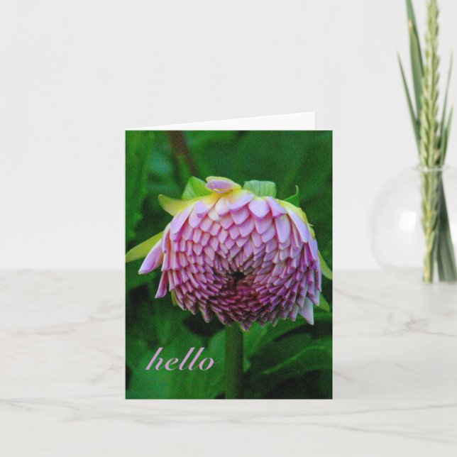 PINK DAHLIA KARTE (Vorderseite)