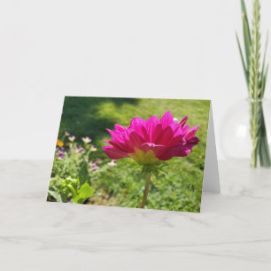 Pink Dahlia Karte
