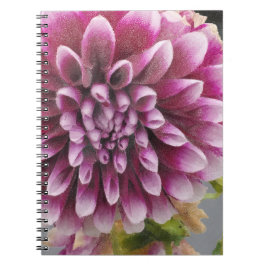 Pink Dahlia Notizblock