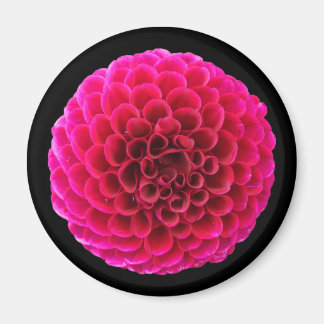 Pink Dahlia Round Kühlschrankmagnet Blumengeschenk