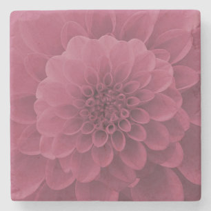Pink Dahlia Steinuntersetzer